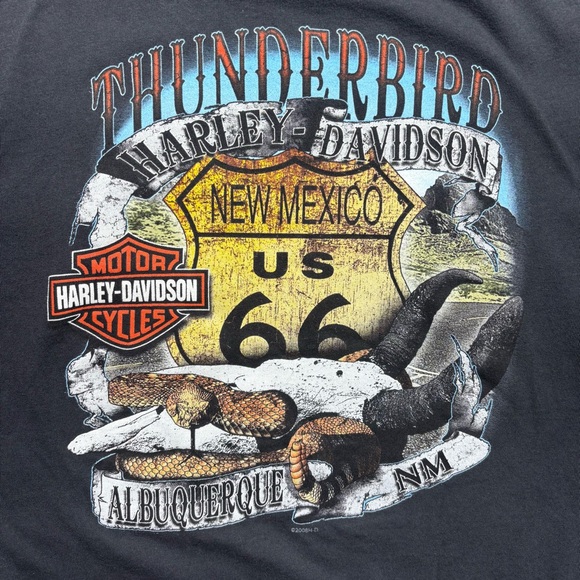 Harley Davidson Shirt Womens Medium Crewneck Tee Thunderbird New Mexico Moto - Picture 1 of 5
